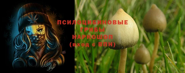 шишки Аркадак