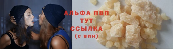 прущие крисы Новозыбков