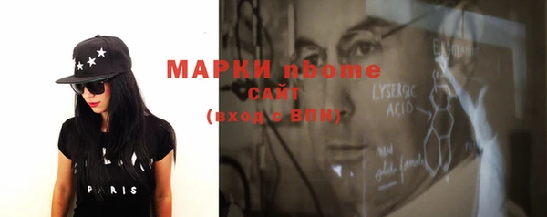 шишки Аркадак
