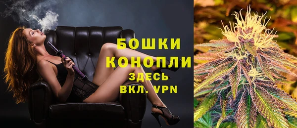 шишки Аркадак