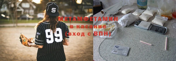 шишки Аркадак